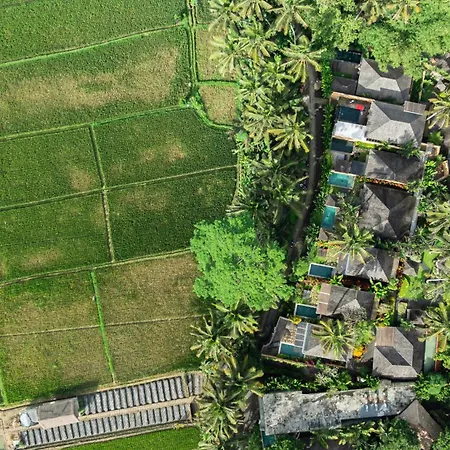 Temuku Ubud Villas-3